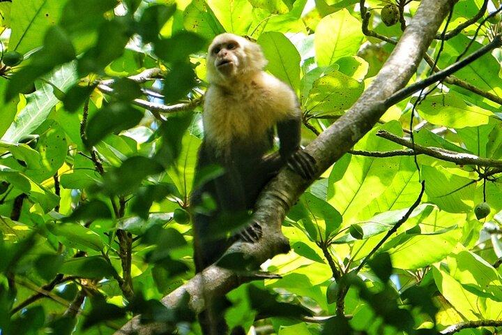 Parque Nacional All Inclusive Manuel Antonio com Binoculares