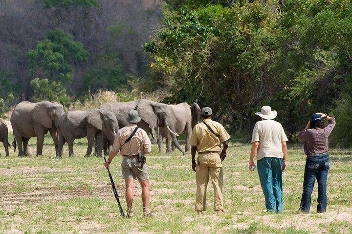 Game drive privato di 3 giorni a Nyerere NP e tour safari in barca