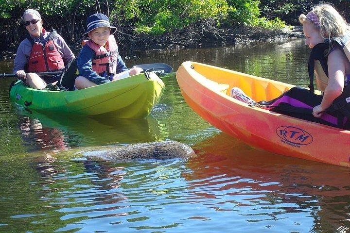 Excursão com caiaque e ecoturismo em Pelican Bay