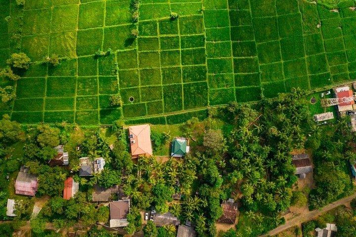 Three temples loop with Spice trail (One day tour)