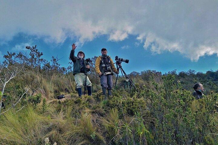 Chakana-Reservat: Einzigartige Tierwelt der Anden, Kondore, ecuadorianischer Bergstern und Bären