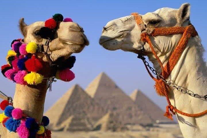 Ramses Tour 3-Days: Pyramides de Gizeh, Sakkara, Memphis, City tour & Alexandria