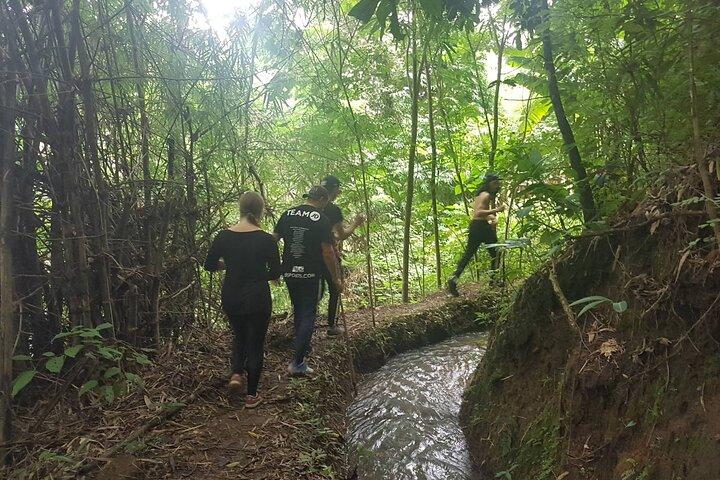 1 dagstur i Chiang Mai
