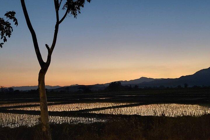 1 dagstur i Chiang Mai
