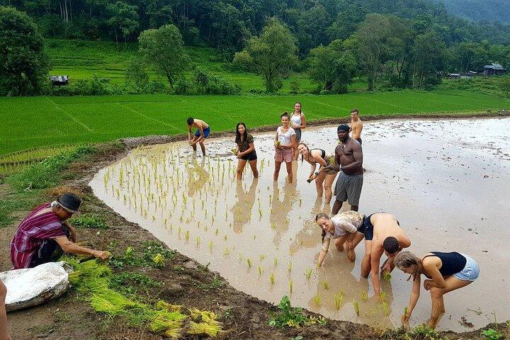 1 dagstur i Chiang Mai