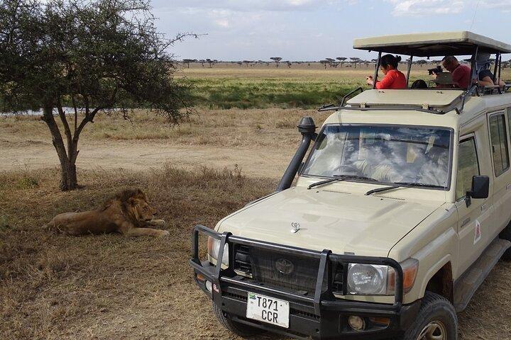 7 días de tour privado en jeep safari en alojamientos de 5 estrellas desde Nairobi