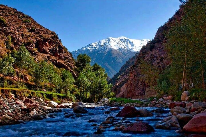 A Half-day Excursion To Ourika Valley