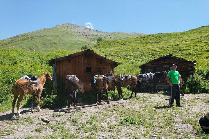 スヴァネティ山村4x4サファリ、クタイシ発ツアー