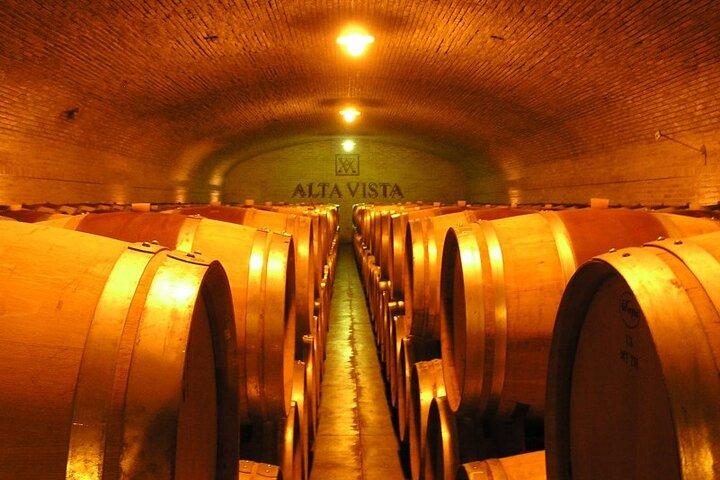 Tour dei vini di Mendoza con pranzo