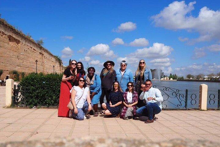 Guided city tours