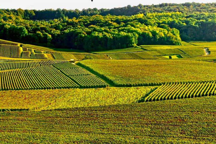 Taittinger Champagne Tastings Cellars Viagem privada de Paris