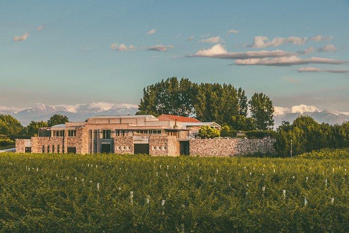 Uco Valley Luxury Wine Experience with Salentein