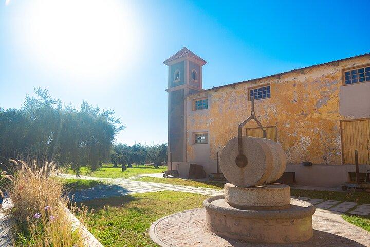 Tour dei vini di Mendoza con pranzo