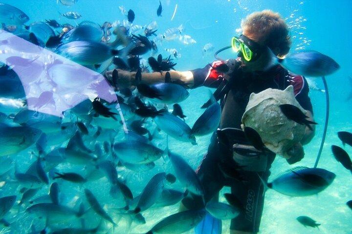 フルガダからボートで行くプライベート紅海シュノーケリング日帰りツアー