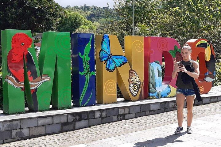 Mindo Cloud Forest: Hummingbirds, Birding & Waterfalls | Private