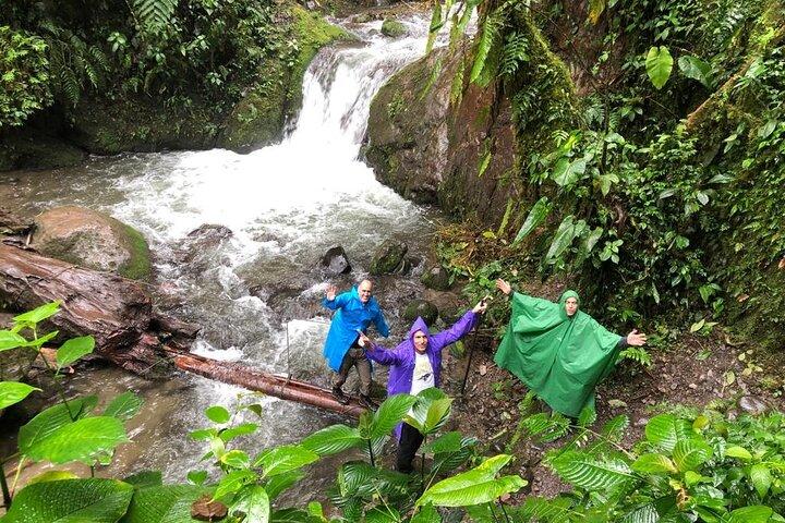 Mindo Cloud Forest: Hummingbirds, Birding & Waterfalls | Private