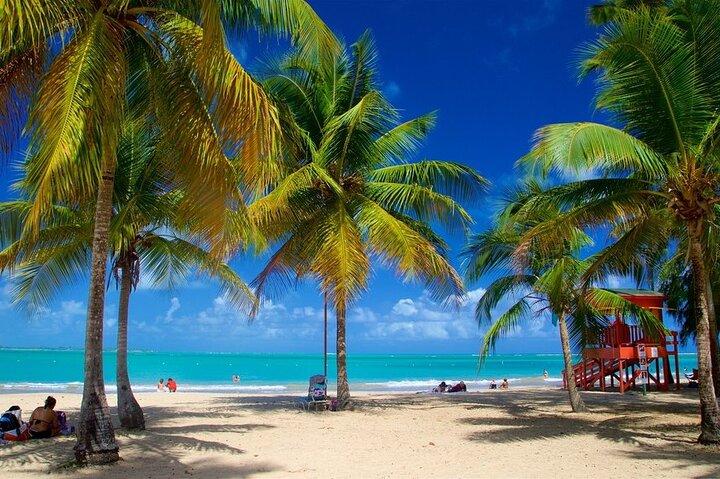 Tour privado a los toboganes acuáticos de El Yunque y la playa de Luquillo