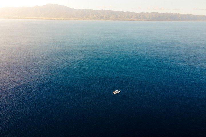オアフ島ホエールウォッチングツアー