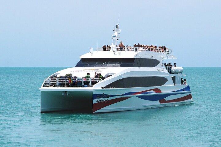 Traslado compartido de Phuket a Koh Tao en autocar y catamarán