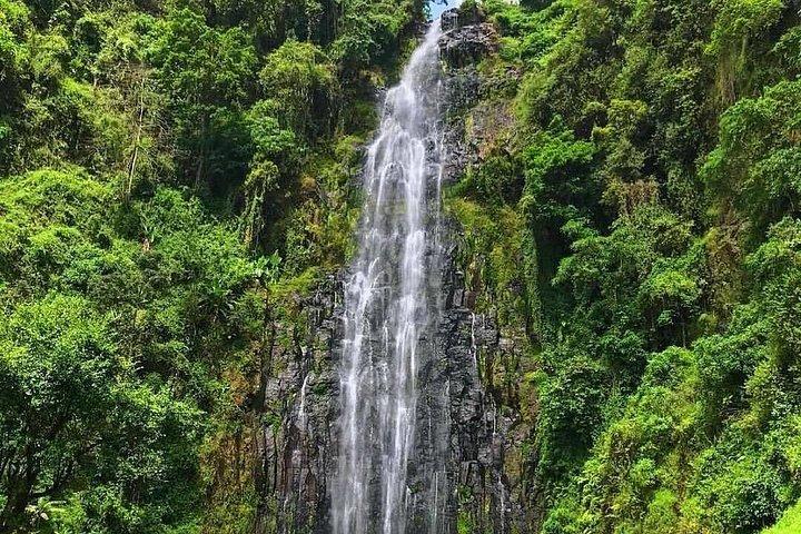 Multi-Day Camping Safari Experience in Arusha