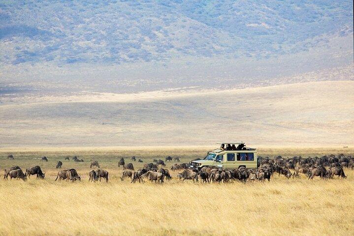 2 - Día de Zanzíbar a Ngorongoro Experiencia de una Vida