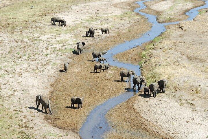 Dagstur till Tarangire nationalpark