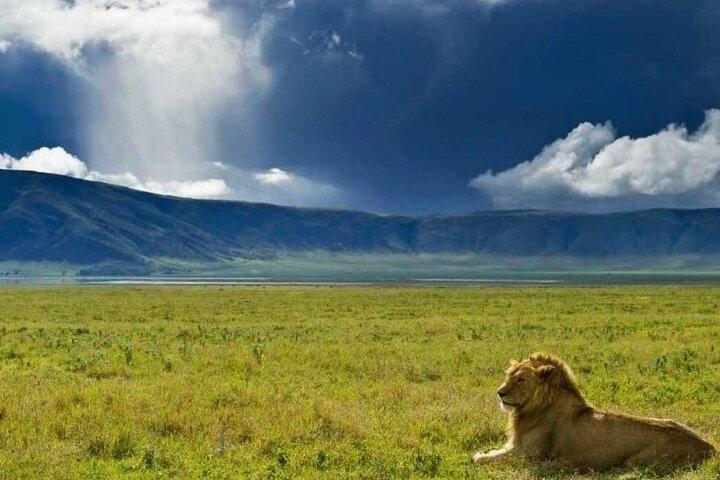 4 - Dagsutflykt till Serengeti