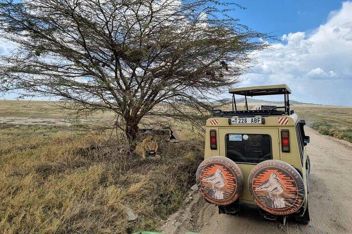 Tour económico de 6 días en Tarangire, Serengeti, Ngorongoro y Manyara