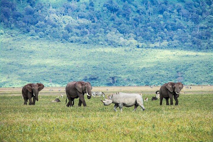 Excursión privada de 5 días al Serengeti con aventura en el lago Manyara