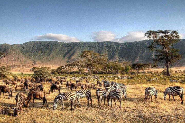 Excursión privada de 5 días al Serengeti con aventura en el lago Manyara