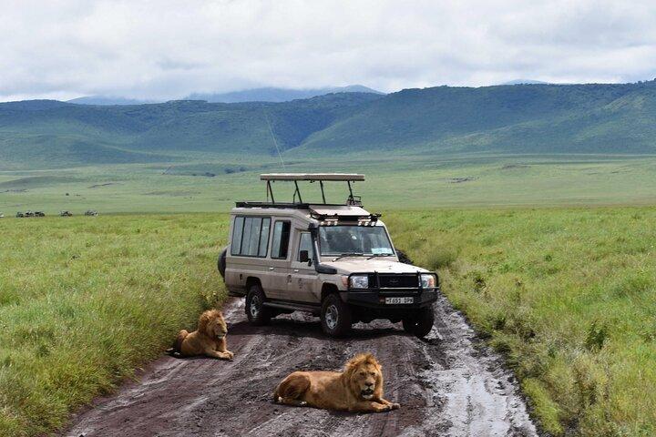Tour económico de 6 días en Tarangire, Serengeti, Ngorongoro y Manyara