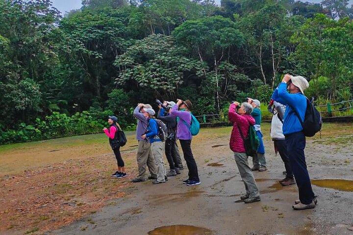 MINDO CLOUD FOREST: Natur & Abenteuer - Flexible private Tagestour