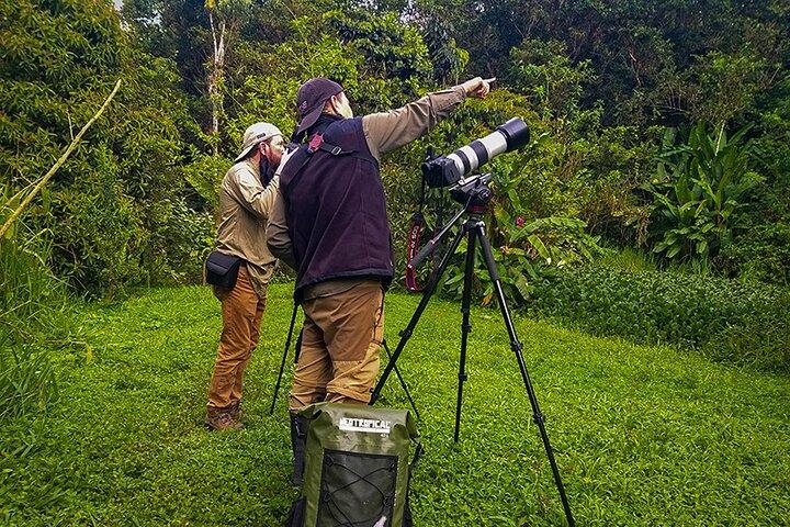 MINDO CLOUD FOREST: Nature & Adventure - Flexible Private Day Tour