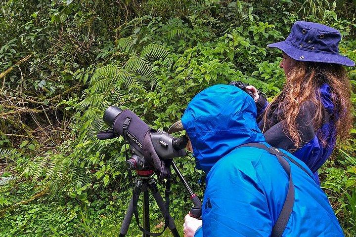 MINDO CLOUD FOREST: Nature & Adventure - Flexible Private Day Tour