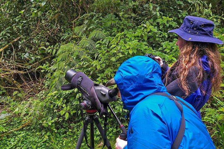 HUMMINGBIRD EXPEDITION - Söker efter molnskogens juveler.