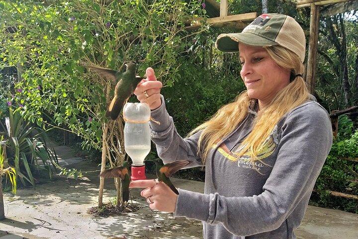 HUMMINGBIRD EXPEDITION - Söker efter molnskogens juveler.