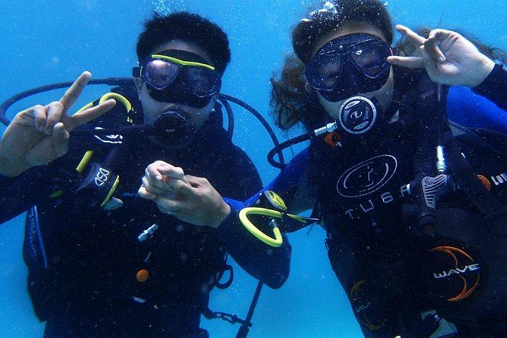 バリ島でのスキューバ ダイビングを写真とビデオで発見