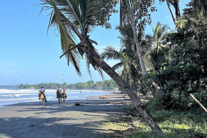 Ridning och Cahuita nationalpark–Privat sightseeingtur