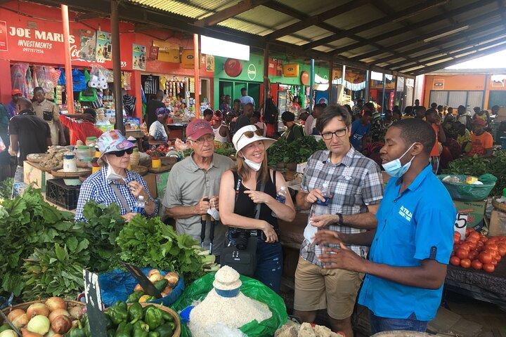 Tour della città di Livingstone, Zambia