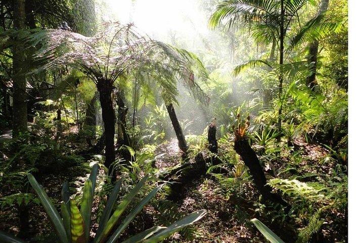 イグアスの滝へのプライベートツアー – ブラジル側