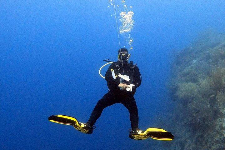Discover Diving in Curaçao with Transportation Included