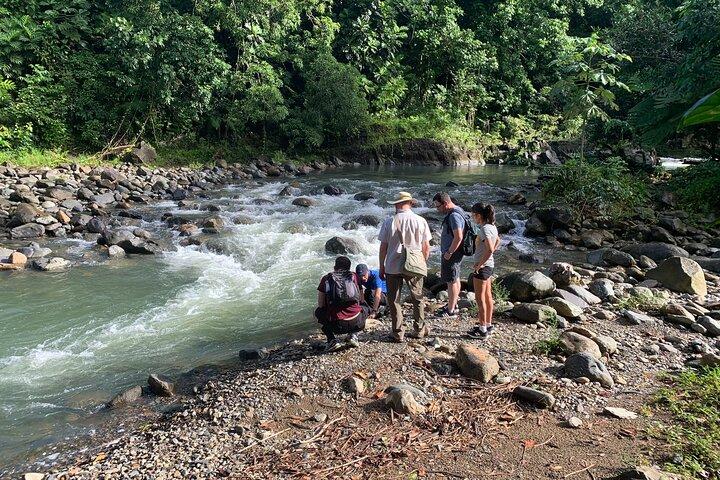 USDA El Yunque National Forest e Luquillo Beach Tour