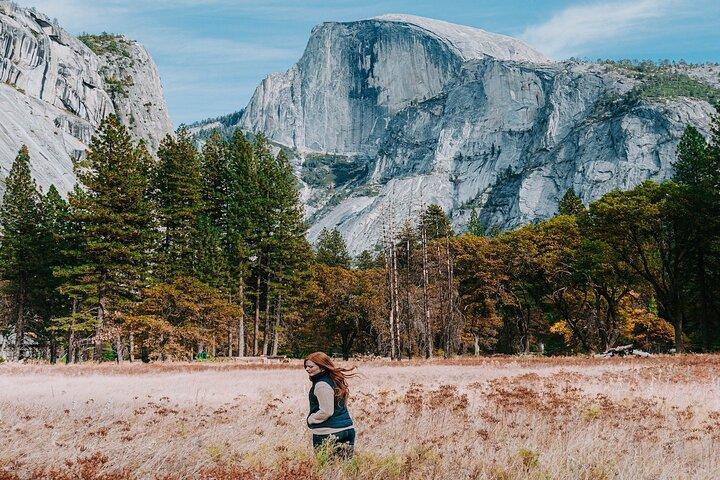Excursion d'une journée à Yosemite au départ de San Francisco