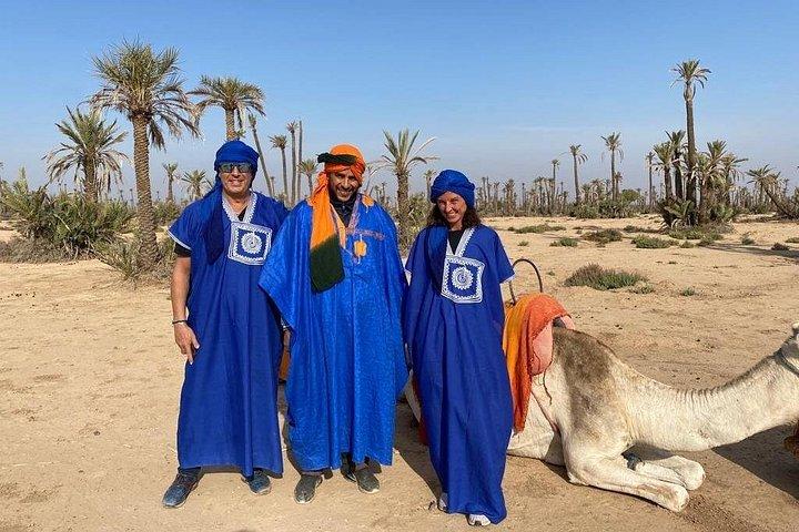 Kameltur i palmlunden i Marrakech