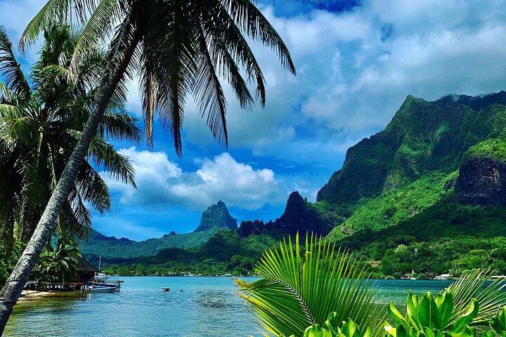 Halbtägige Tour auf der Insel Moorea in einer kleinen Gruppe