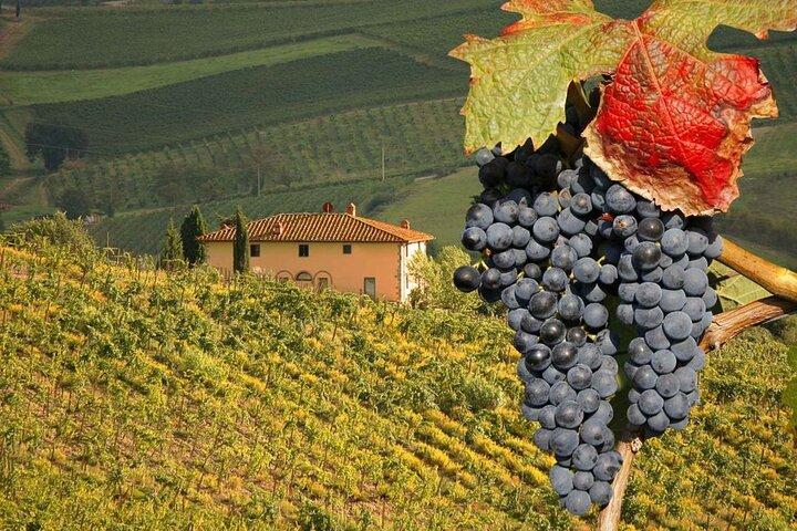 Pienza et Montepulciano par les collines toscanes depuis Rome Visite privée