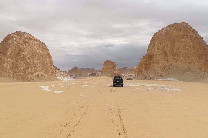 Van Cairo 6-daags pakket naar Fayoum Oasis, White Desert en Bahariya Oasis