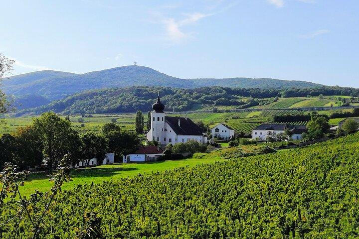 Private Vienna Woods Wine Tour