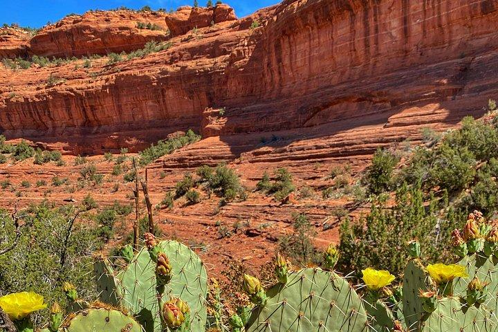 Sedona Sacred Canyons Loop Hike With a Private Guide