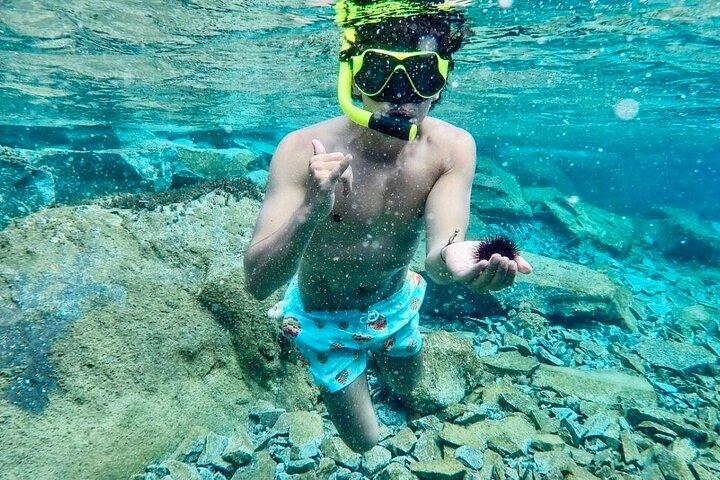 Crucero tradicional de un día en la Caldera de Santorini con comida y bebidas